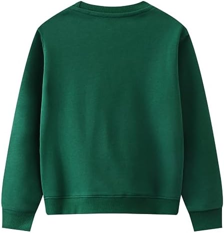 Popshion Boys Monster Truck Dinosaur Sweatshirt