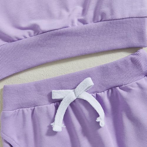 SAYOO Baby Girl Birthday Outfit Set Fall Princess 2Pcs