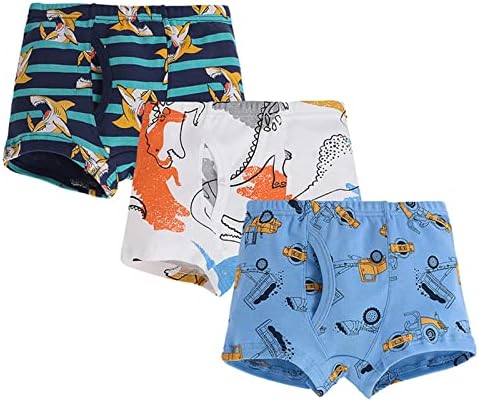 Dinosaur Themed Boys Boxers 3Pack