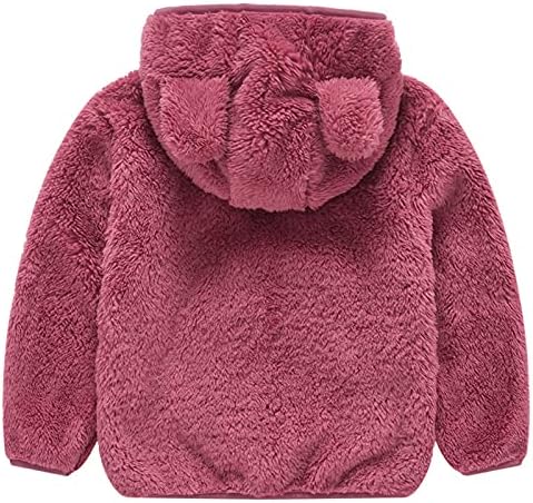 Perfect for Kids Cute Bear Fleece Hoodie Toddler Girls Boys Winter Outfit